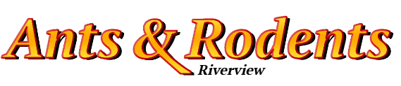Riverview Ant Exterminator & Rodent Control Company Logo
